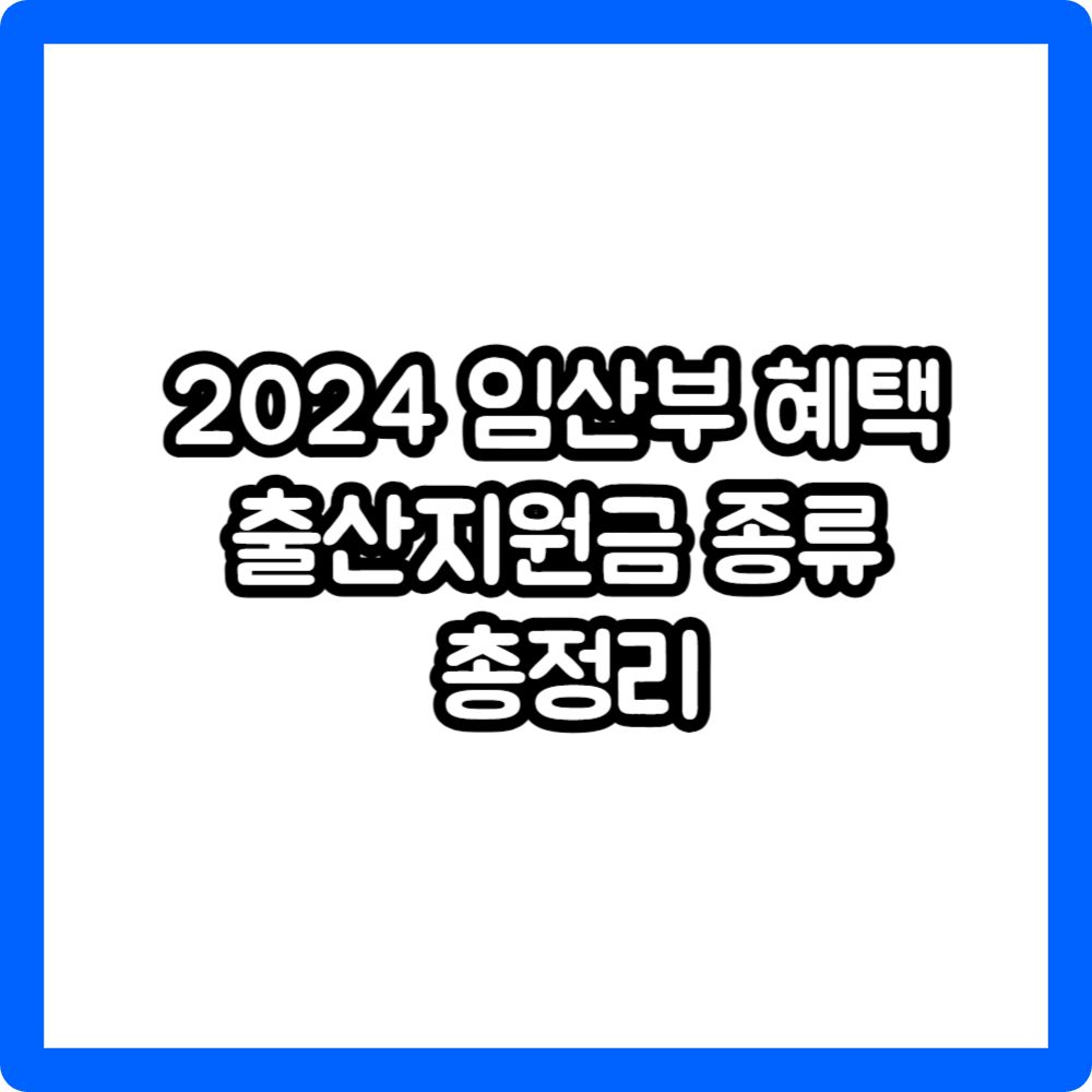 2024 임산부 혜택 출산지원금 종류 총정리