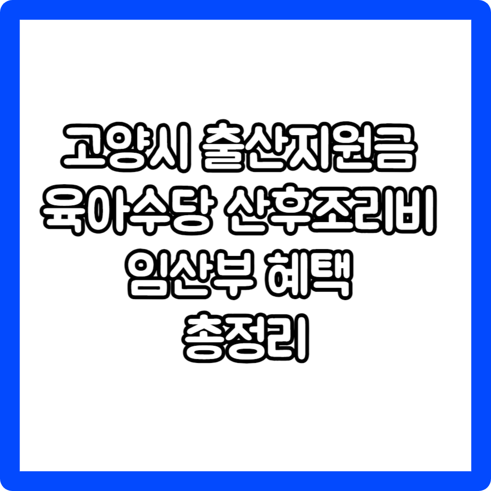 고양시 출산지원금 육아수당 산후조리비 임산부 혜택 총정리