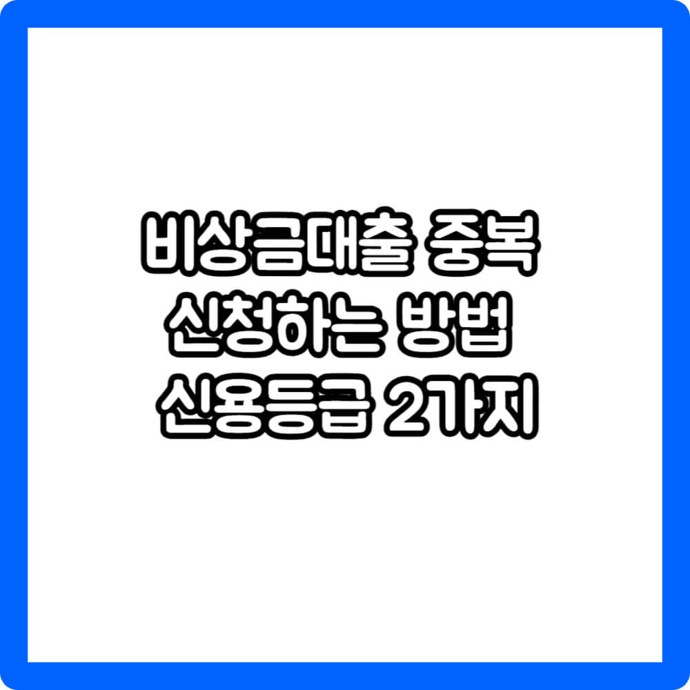 비상금대출 중복 신청하는 방법 신용등급 2가지